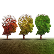 Dr Van Vleet Boulder holistic cognitive and mental health specialist assessments Boulder holistic cognitive health mental health assessments ADHD autism